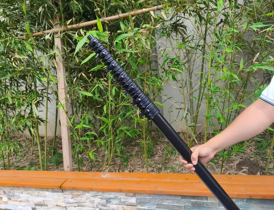 Carbon Fiber Telescopic Pole Camera