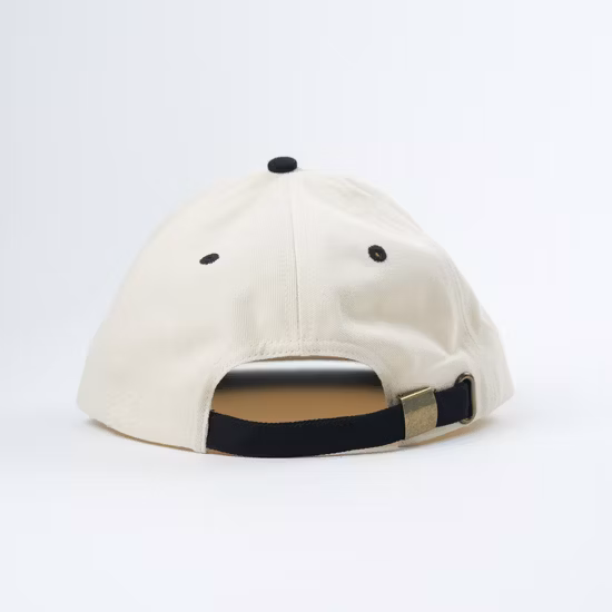 Hot DIP Galvanized Cantilever Traffic Signal Light Pole Traffic Sign Board Pole Traffic Camera CCTV Pole Traffic Combination Pole